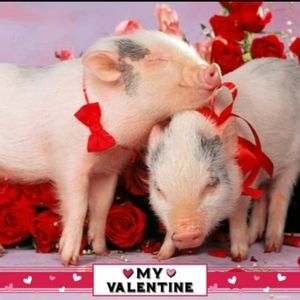 Meet your Posher, Trish